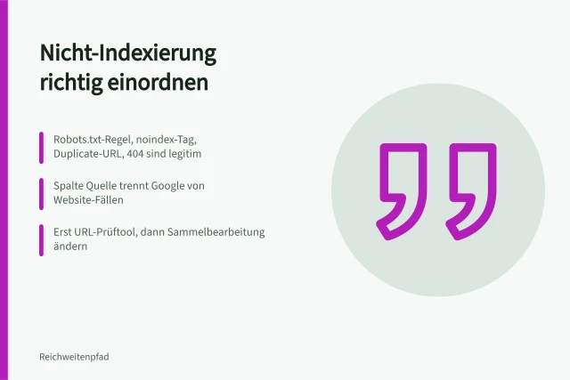 Karte zu Nicht-Indexierungsgründen im Seitenindexierungsbericht richtig einordnen. Nicht-Indexierungsgründe laut Seitenindexierungsbericht einordnen