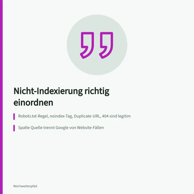 Karte zu Nicht-Indexierungsgründen im Seitenindexierungsbericht richtig einordnen. Nicht-Indexierungsgründe laut Seitenindexierungsbericht einordnen